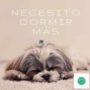 Lee más sobre el artículo 4 tips para dormir mejor